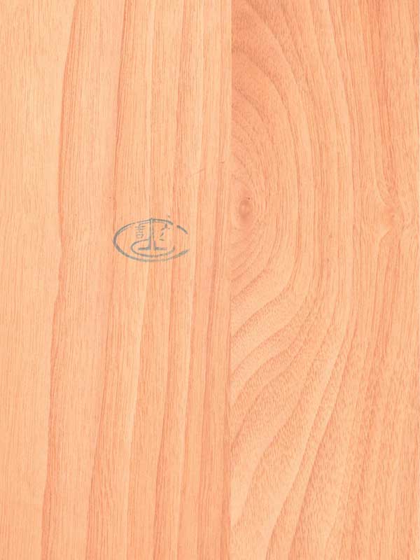 Tiger Floor No.0254