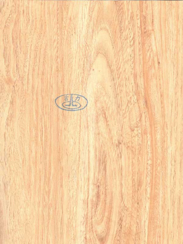 Tiger Floor No.0325