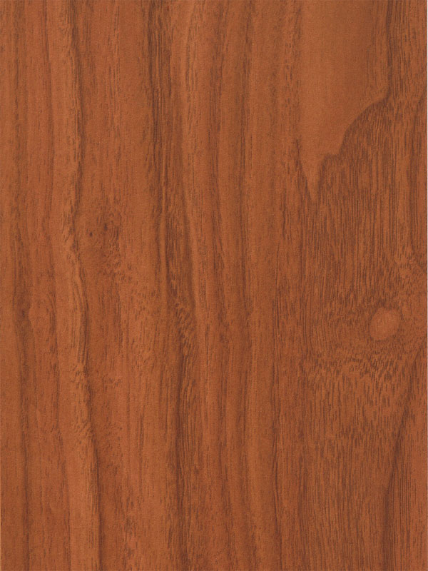 Tiger Floor No.1568