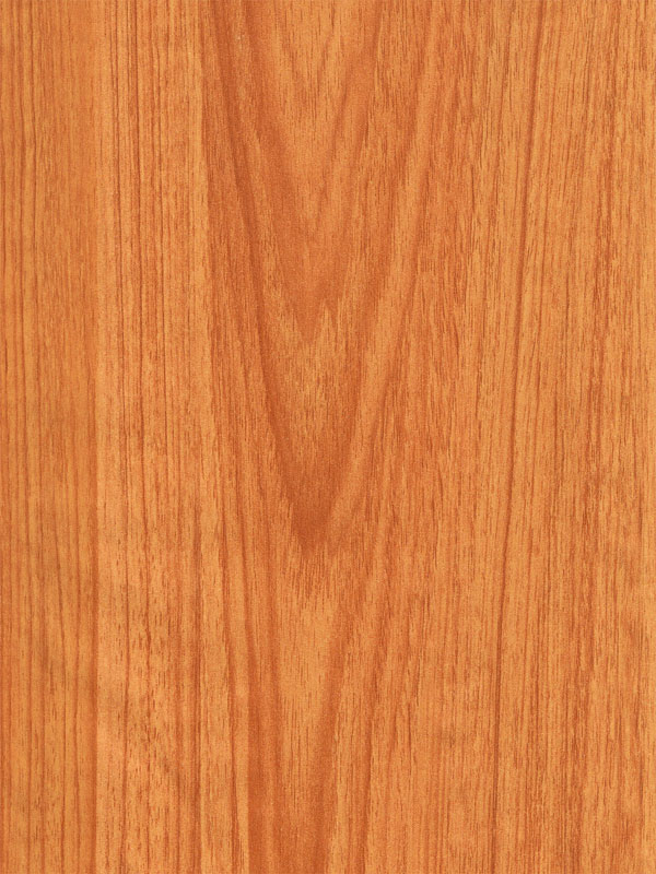 Tiger Floor No.2038