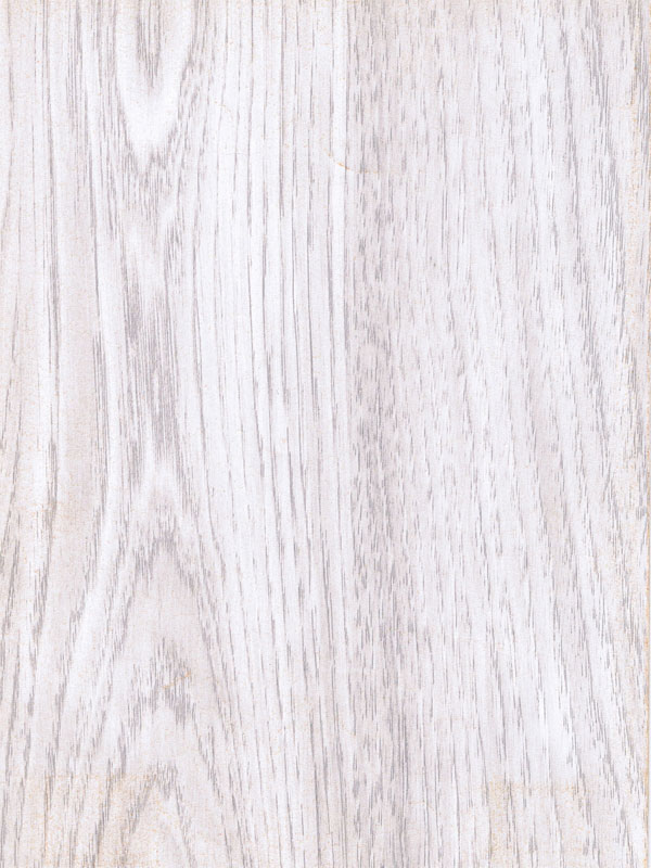 Tiger Floor No.2106