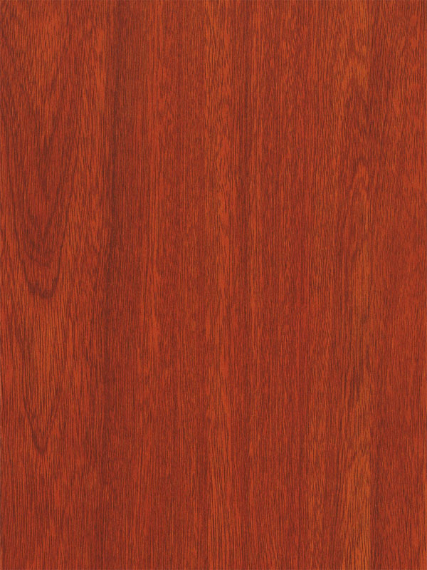 Tiger Floor No.2568