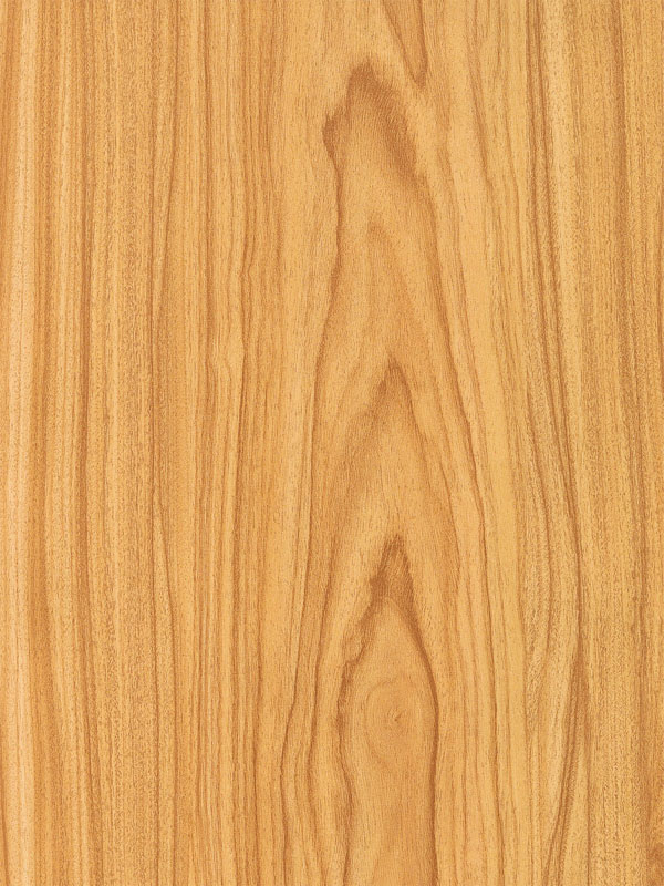Tiger Floor No.2826