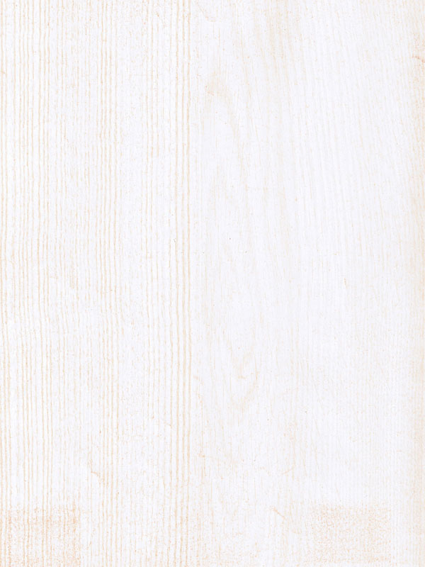 Tiger Floor No.3502