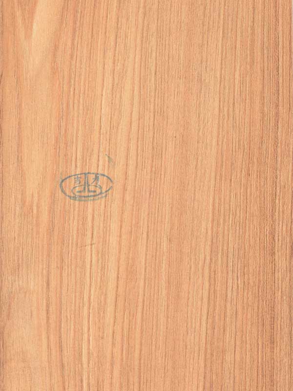 Tiger Floor No.4927