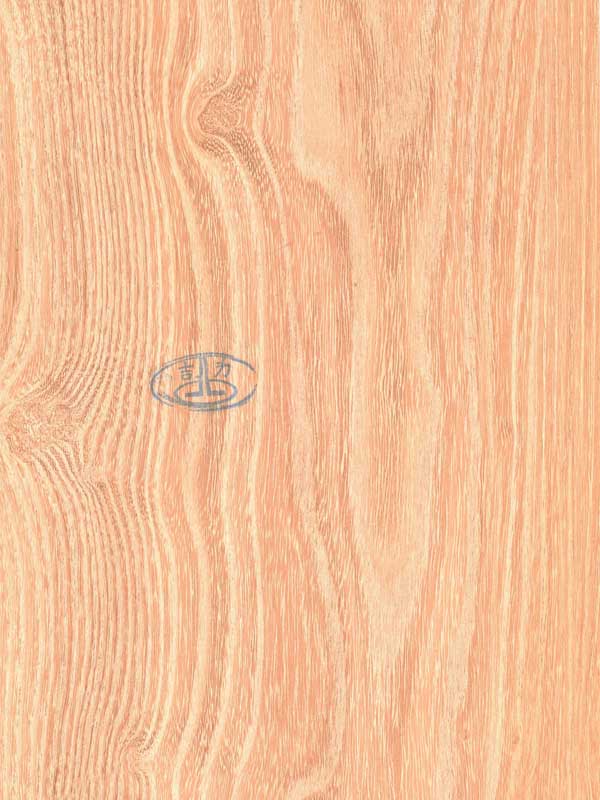 Tiger Floor No.50826