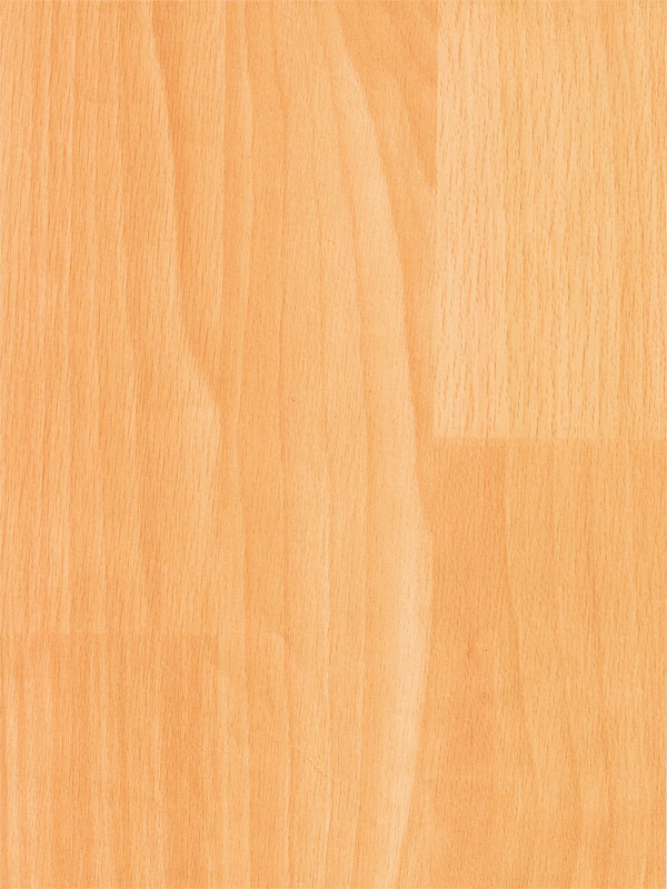 Tiger Floor No.6022