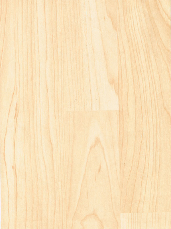 Tiger Floor No.6116