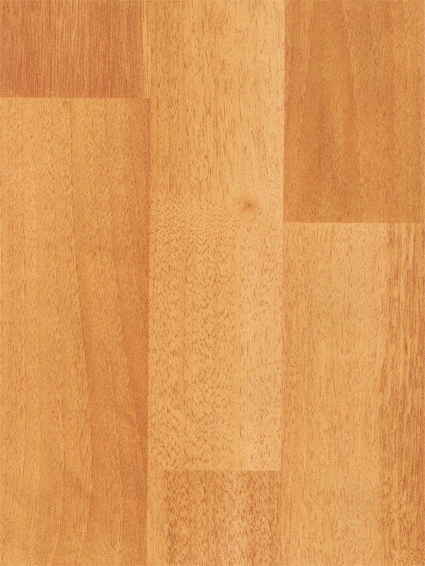 Tiger Floor No.6353