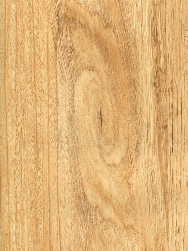 Tiger Floor No.H0305