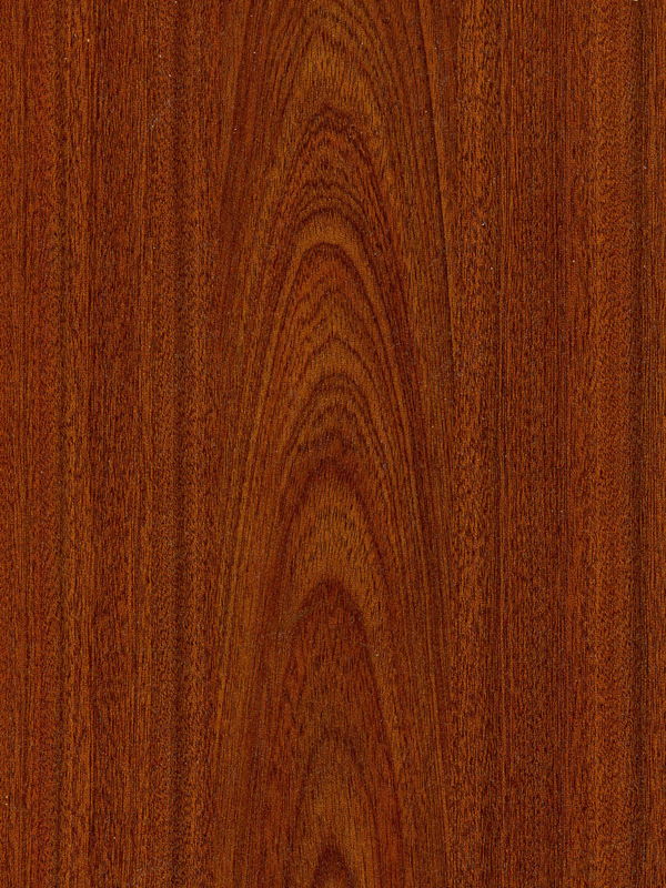 Tiger Floor No.H318
